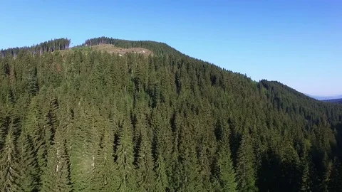 4K .Aerial summer  landscape. Mountains  hills with wood. Lateral flight  Stockbeeldmateriaal 79870545
