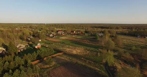 4K aerial summer video of pristine green forest Stock Footage 156899031