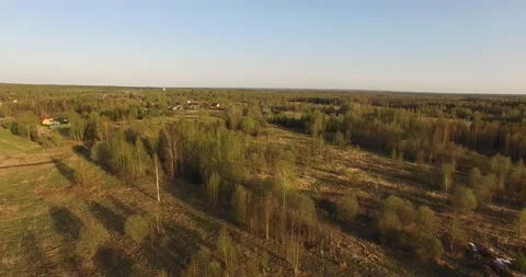 4K aerial summer video of pristine green forest Stock Footage 156899097