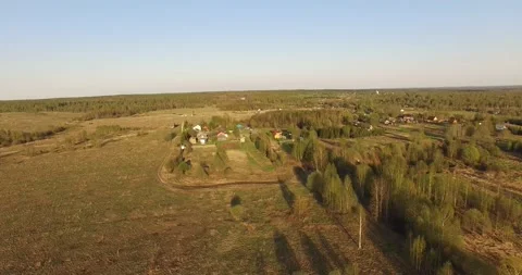 4K aerial summer video of pristine green forest Stock Footage 156899155