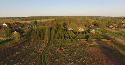 4K aerial summer video of pristine green forest Stock Footage 156899258