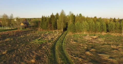 4K aerial summer video of pristine green forest Stock Footage 156899262