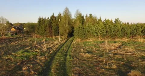 4K aerial summer video of pristine green forest Stock Footage 156899271