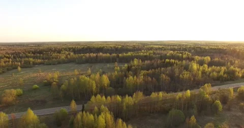 4K aerial summer video of pristine green forest Stock Footage 156901075