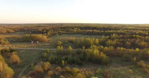 4K aerial summer video of pristine green forest Stock Footage 156901440