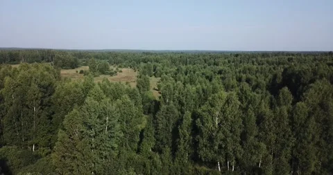 4K aerial summer video of pristine green forest Stock Footage 157444310