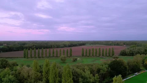 4K Aerial Sunset Flight Over Endless Meadows with Stunning Views Stock Footage 221171014