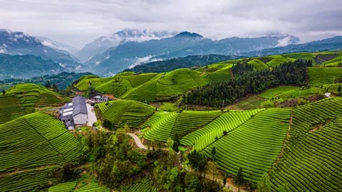4K Aerial Time-lapse of Tea Mountains, Peaks and Sea of Clouds After Rain Stock Footage 338363774