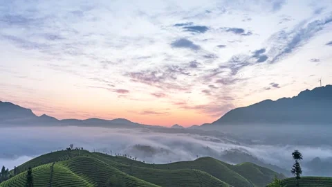 4K Aerial Time-lapse of Tea Plantations with Morning Glow and Sea of Clouds Video stock 338363775
