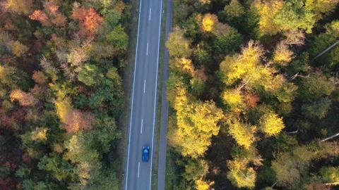 4K Aerial Top-Down Drone Footage of Road Through Autumn Forest with Moving Cars Видео 319397374