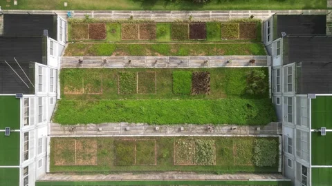 4K Aerial Top Down Green Roof Sustainable Building Stock Footage 339654520
