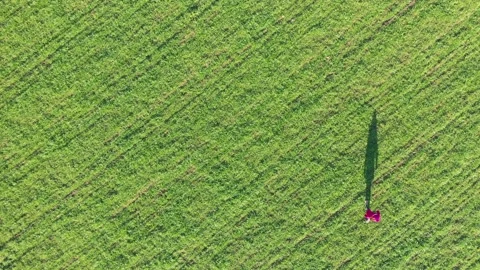 4K Aerial Top Down Track Little Girl Walking In a Grass Field. Copy Space Stock Footage 147628345
