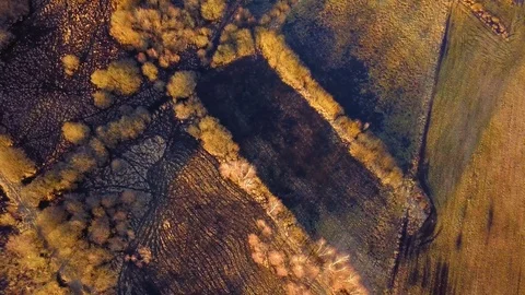 4k AERIAL top down view of flooded meadow in sunset light. Stock Footage 104919645