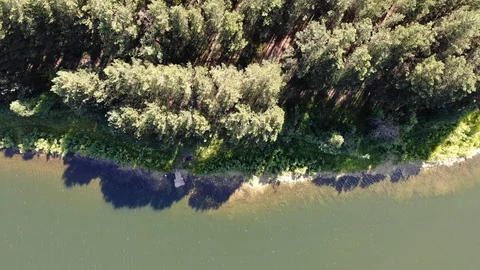 4k aerial top down view shoreline of lake in a pine forest in Sunny summer day Stock Footage 123820966