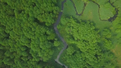 4k AERIAL: Top down view on small winding river in summer forest. Stock Footage 156947676