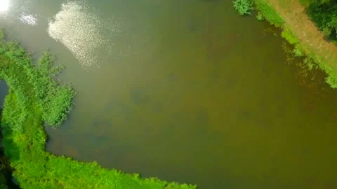 4k AERIAL with top down view on pond in summer landscape. Stock Footage 156947733
