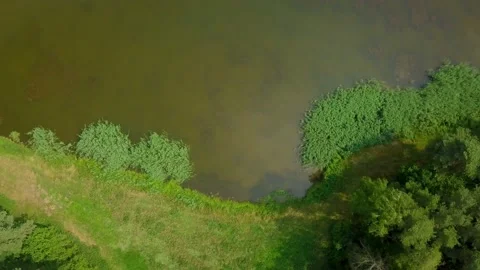 4k AERIAL with top down view on pond in summer landscape. Stock Footage 156947920