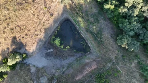4K Aerial top down view rising and rotating over an agricultural reservoir Stock Footage 336019388