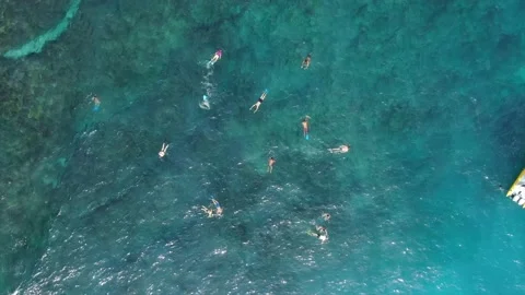 4K aerial top view of snorkelling group of tourists on a trip off Bali over reef Stock Footage 136450737