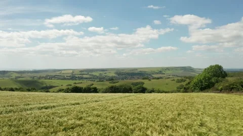 4k Aerial Tracking shot over crops in the South downs, UK Stock Footage 342749103