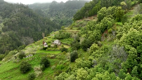 4k Aerial Tracking shot of remote farm buildings in Madeira, Portugal Stock Footage 342749081