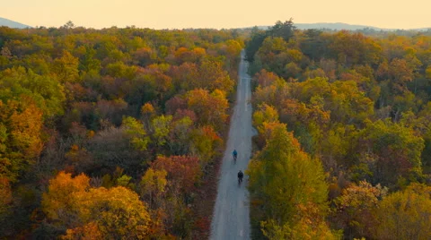 4K Aerial: Tracking Two Bikers on Forest Road Vídeo Stock 57214924