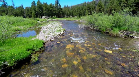 4k Aerial tracking view going up a mountain trout stream Stock Footage 66561800