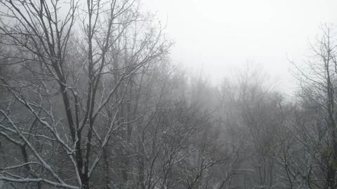 4K aerial video of cold mist lingering in winter forests Видео 335180246