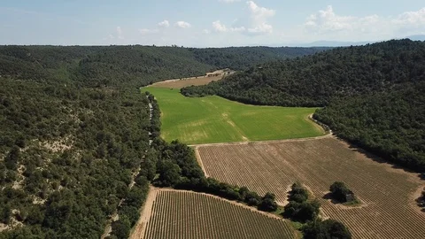 4K Aerial video of lavender fields in Provence by drone, South Of France Stock Footage 100050921