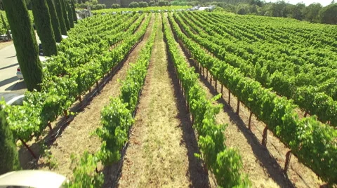 4K aerial view above forward napa italian winery castle Vídeo Stock 65531034