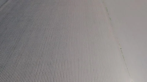 4K Aerial View of Arable Field Captured by Drone Cam Video stock 62945258
