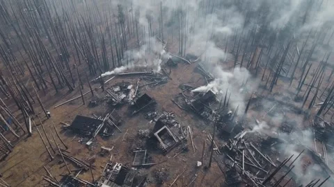 4K Aerial View of Burned Forest and Destroyed Village – Post-Apocalyptic Landsca Stock Footage 313149902