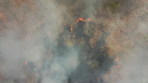 4K Aerial view of burning forest in a wildlife sanctuary, northern Cambodia. Stock Footage 149949908