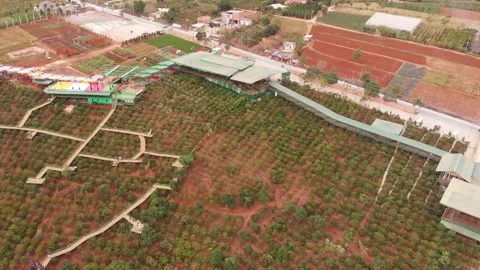 4K aerial view of coffee plantations and forest hills in Dalat city, Vietnam Vídeo Stock 146717543
