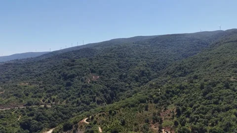 4K Aerial View of Dense Forested Mountains and Wind Turbines on Ridge Stock Footage 341531165