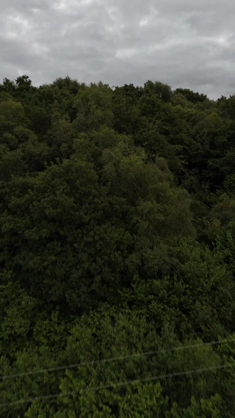 4K Aerial View of Dense Green Forest Under Cloudy Sky Stockbeeldmateriaal 337855926
