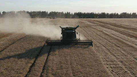 4k Aerial view from the drone to a combine agriculture machine harvesting golden Stock Footage 158170793