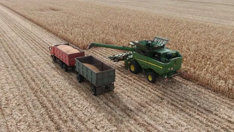 4k Aerial view from the drone to a combine agriculture machine harvesting golden Stock Footage 158171135