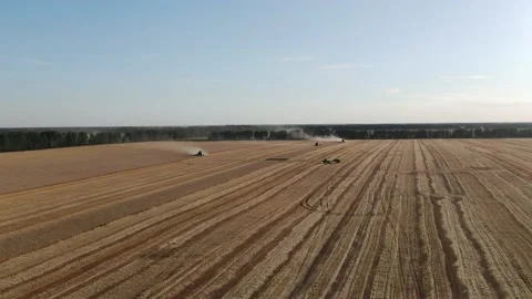 4k Aerial view from the drone to a combine agriculture machine harvesting golden Stock Footage 158171326