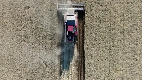 4k Aerial view from the drone to a combine agriculture machine harvesting golden Stock Footage 158171611