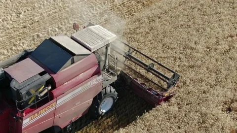 4k Aerial view from the drone to a combine agriculture machine harvesting golden Stock Footage 158171835
