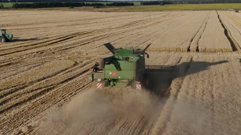 4k Aerial view from the drone to a combine agriculture machine harvesting golden Stock Footage 158172045