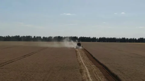 4k Aerial view from the drone to a combine agriculture machine harvesting golden Stock Footage 158172299