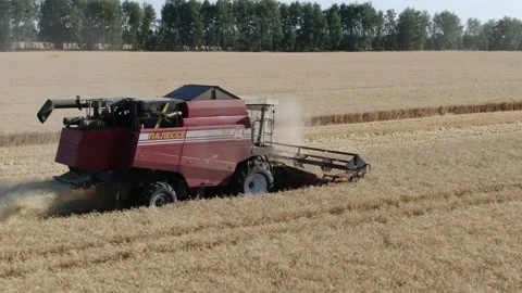 4k Aerial view from the drone to a combine agriculture machine harvesting golden Stock Footage 158172420