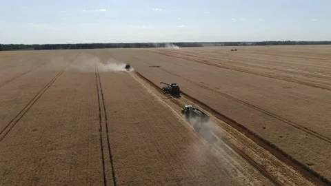 4k Aerial view from the drone to a combine agriculture machine harvesting golden Stock Footage 158172804