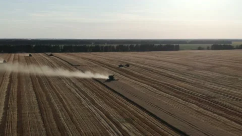 4k Aerial view from the drone to a combine agriculture machine harvesting golden Stock Footage 158172912