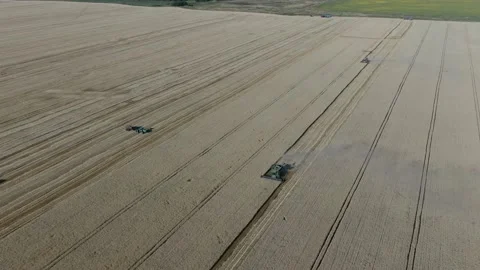 4k Aerial view from the drone to a combine agriculture machine harvesting golden Stock Footage 158172979