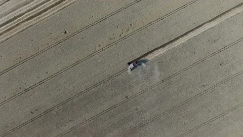 4k Aerial view from the drone to a combine agriculture machine harvesting golden Stock Footage 158173400
