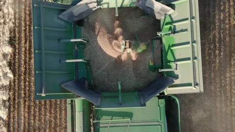 4k Aerial view from the drone to a combine agriculture machine harvesting golden Stock Footage 158174741