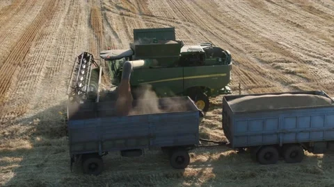 4k Aerial view from the drone to a combine agriculture machine harvesting golden Stock Footage 158175243